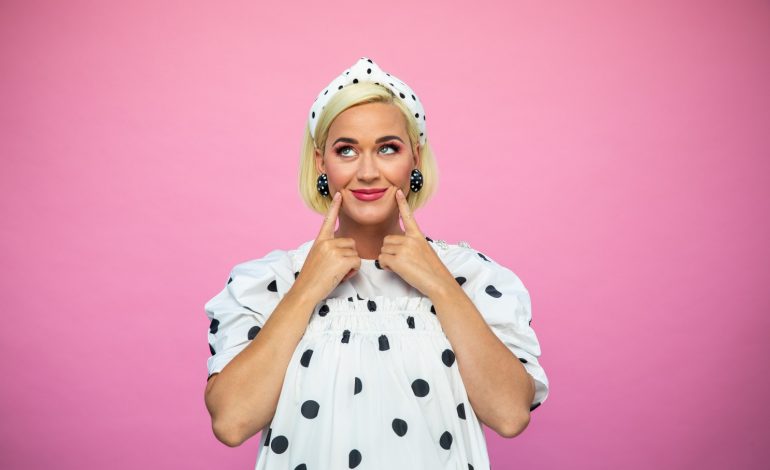  7 Fun Facts About Katy Perry
