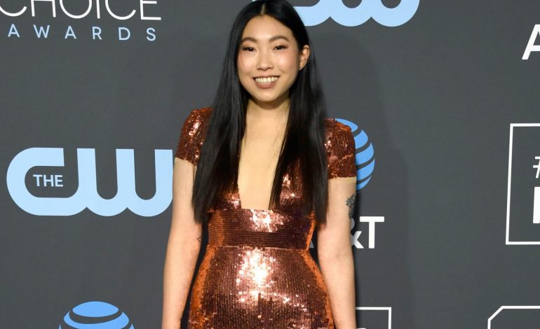 5 Things You Didn’t Know About Awkwafina